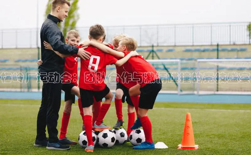 梅岭厂运动会：团队合作与激情碰撞的竞技盛宴