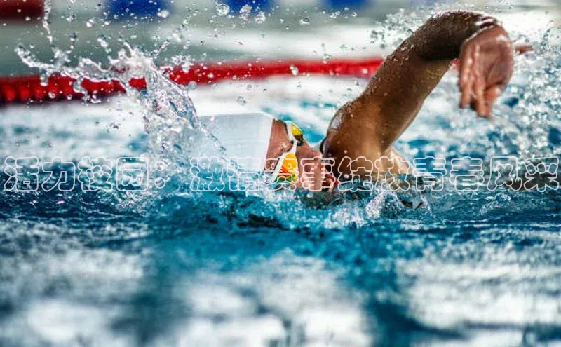 活力校园：激情赛事绽放青春风采