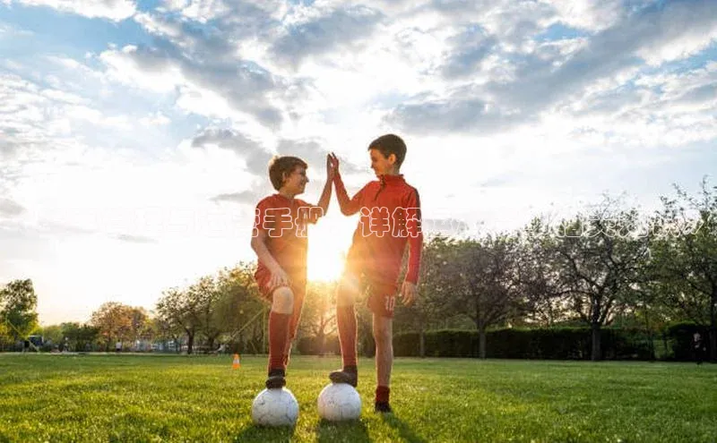 《赛事管理与运营手册：详解运动赛事相关知识》