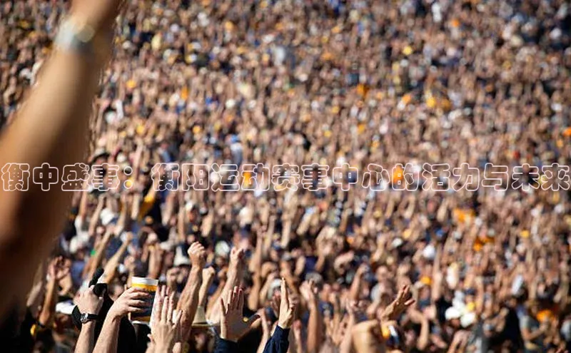 衡中盛事：衡阳运动赛事中心的活力与未来