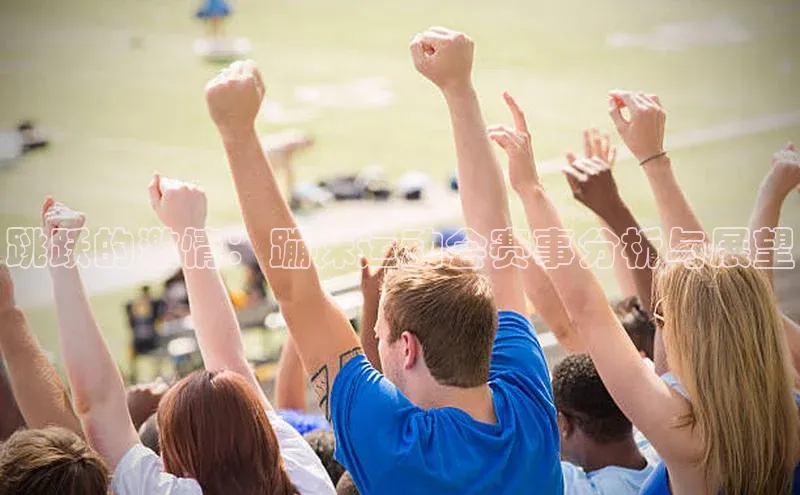 跳跃的激情：蹦床运动会赛事分析与展望