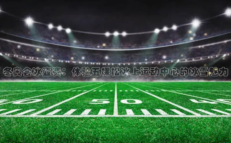 冬奥会冰壶赛：体验五棵松冰上运动中心的冰雪魅力