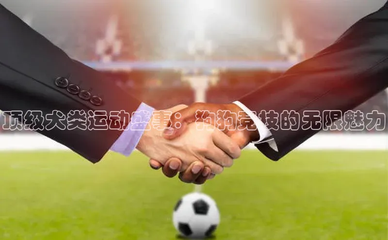 顶级犬类运动盛事：狗狗竞技的无限魅力