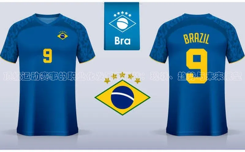 顶级运动赛事的职业化发展与挑战：现状、趋势与未来展望