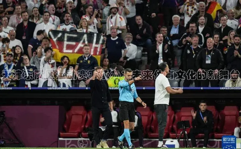 天津东丽区运动赛事承办：未来体育文化的新舞台