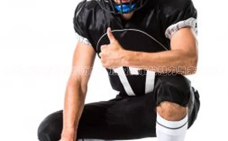 中国犬运动的辉煌历史：顶级赛事的魅力与未来趋势