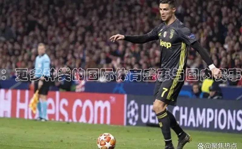 ：更多种类的国际体育盛事与国内赛事