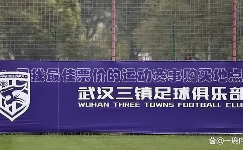 ：寻找最佳票价的运动赛事购买地点