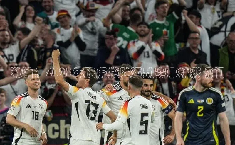 激情：2023年路虎揽胜运动赛事精彩瞬间