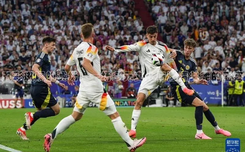 五彩斑斓的赛场：一场多元文化与激情共舞的盛宴