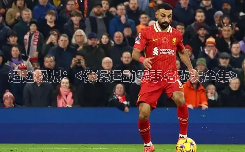 超越极限：<体操运动赛事名称大全集>