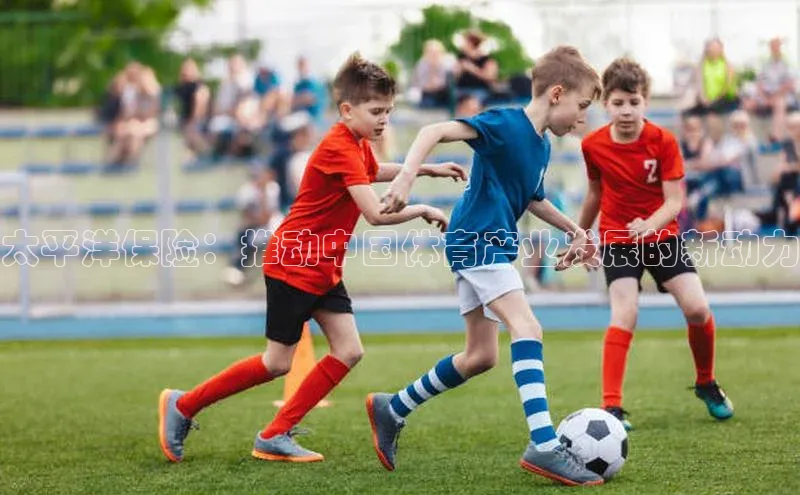 太平洋保险：推动中国体育产业发展的新动力